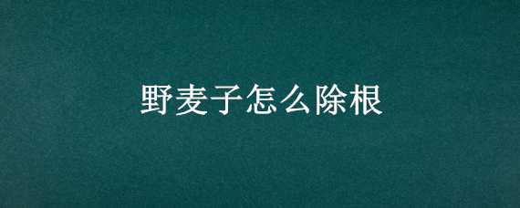 野麦子怎么除根 野麦子怎么去除