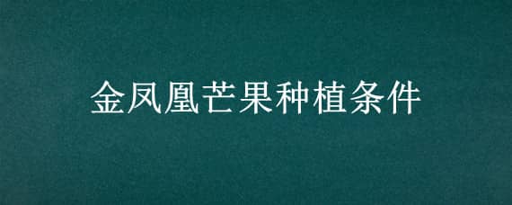 金鳳凰芒果種植條件（金煌芒果種植條件）