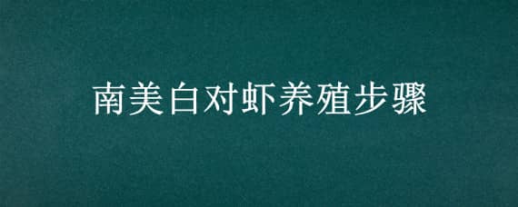 南美白對蝦養(yǎng)殖步驟（南美白對蝦養(yǎng)殖流程資料）