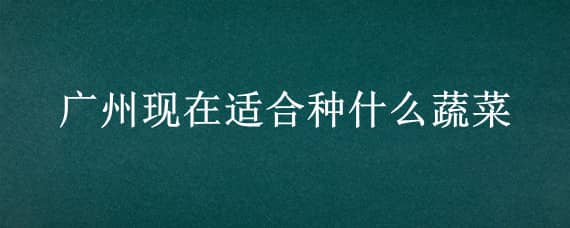 广州现在适合种什么蔬菜（广州现在适合种什么蔬菜和水果）