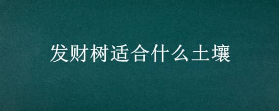 發(fā)財樹適合什么土壤（發(fā)財樹適合什么土壤栽培）