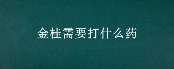 金桂需要打什么藥