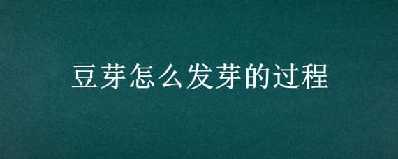 豆芽怎么發(fā)芽的過程 豆芽怎么發(fā)芽的過程圖片