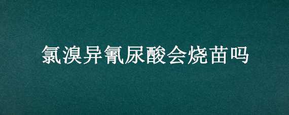 氯溴異氰尿酸會燒苗嗎（氯溴異氰尿酸會燒苗嗎?）