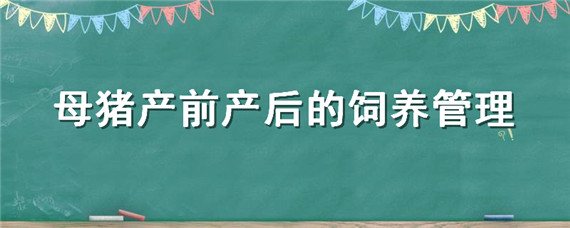 母豬產(chǎn)前產(chǎn)后的飼養(yǎng)管理（母豬產(chǎn)前和產(chǎn)后管理）