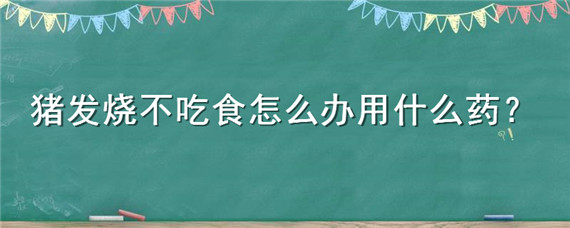 猪发烧不吃食怎么办用什么药（母猪发烧不吃食怎么办用什么药）