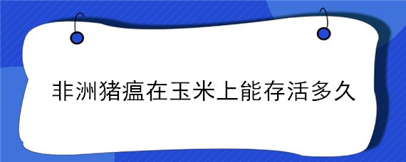 非洲猪瘟在玉米上能存活多久（非洲猪瘟在玉米中可以存活多长时间）