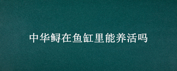 中華鱘在魚缸里能養(yǎng)活嗎 中華鱘可以在魚缸里養(yǎng)嗎