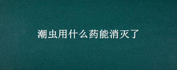 潮虫用什么药能消灭了 潮虫怎么彻底消灭用什么药好使