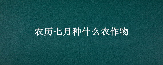 農(nóng)歷七月種什么農(nóng)作物（六七月種什么農(nóng)作物）