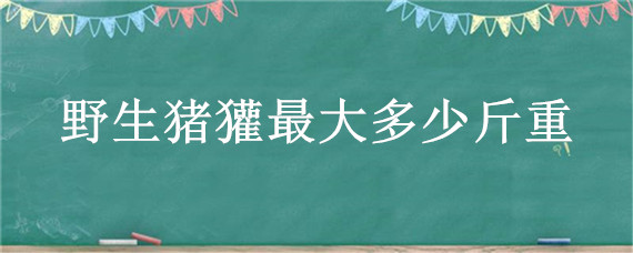 野生猪獾最大多少斤重 猪獾体重是多少