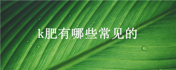 k肥有哪些常见的（KCl是什么肥）