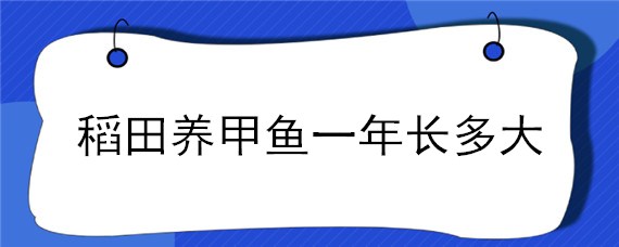 稻田養(yǎng)甲魚一年長(zhǎng)多大 水稻田養(yǎng)甲魚