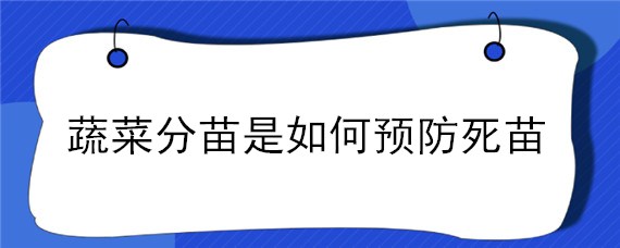 蔬菜分苗是如何预防死苗（空心菜防治死苗）