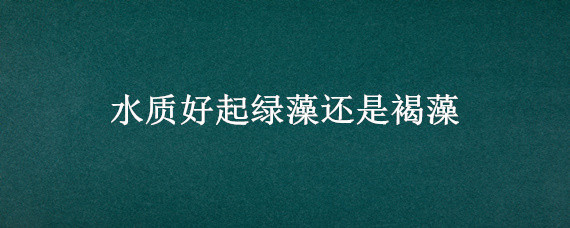 水质好起绿藻还是褐藻 长褐藻是水质好还是差