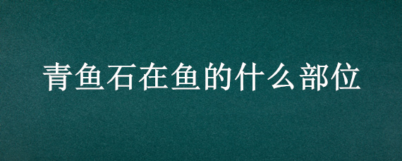 青魚石在魚的什么部位