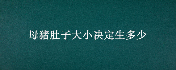 母豬肚子大小決定生多少（母豬是不是肚子越大生的越多）