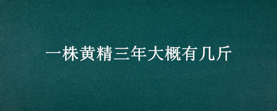 一株黃精三年大概有幾斤（黃精一斤一年可以長多少）