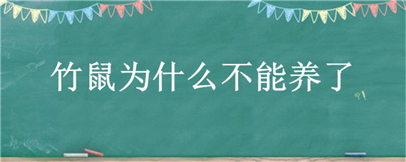 竹鼠为什么不能养了 竹鼠不让养了吗