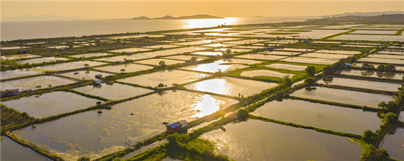 黃骨魚養(yǎng)殖條件水溫（黃骨魚養(yǎng)殖技術(shù) 水溫）