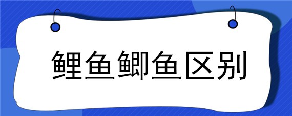 鯉魚(yú)鯽魚(yú)區(qū)別（鯉魚(yú)鯽魚(yú)區(qū)別在哪）