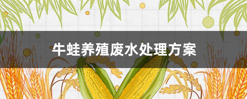 牛蛙養(yǎng)殖廢水處理方案 養(yǎng)殖牛蛙污水處理設(shè)備