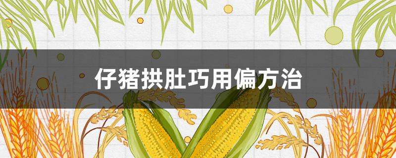 仔豬拱肚巧用偏方治（豬拱肚怎么辦）