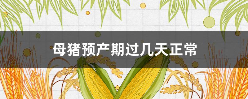 母豬預(yù)產(chǎn)期過幾天正常