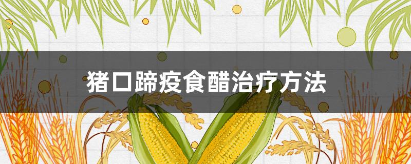 豬口蹄疫食醋治療方法（白醋能治豬口蹄疫嗎）