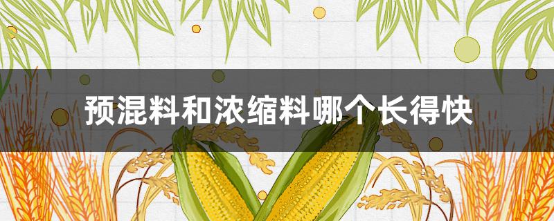 預(yù)混料和濃縮料哪個(gè)長(zhǎng)得快（預(yù)混料長(zhǎng)得快還是濃縮料快）