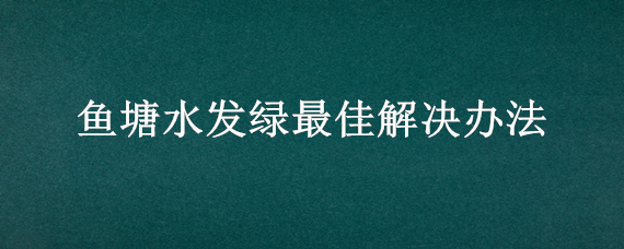 魚塘水發(fā)綠最佳解決辦法（魚塘水發(fā)綠最佳解決辦法是什么）