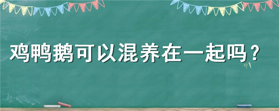 鸡鸭鹅可以混养在一起吗 鹅和鸡鸭可以混养吗