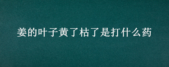 姜的葉子黃了枯了是打什么藥 姜葉子發(fā)黃打什么藥