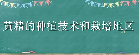 黃精的種植技術(shù)和栽培地區(qū)（黃精的生長(zhǎng)環(huán)境及種植技術(shù)）