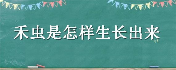 禾虫是怎样生长出来 禾虫在哪里生长