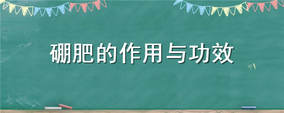 硼肥的作用与功效 速溶硼肥的作用与功效