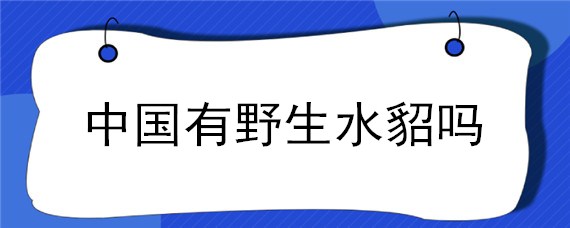 中國有野生水貂嗎 中國哪里產(chǎn)貂皮