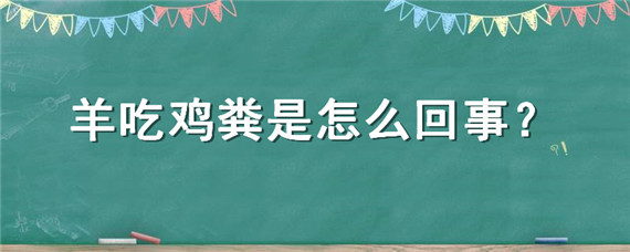 羊吃鸡粪是怎么回事（羊吃鸡粪是什么原因）