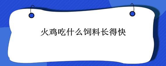 火鸡吃什么饲料长得快 火鸡都吃什么饲料