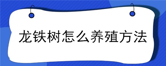 龍鐵樹怎么養(yǎng)殖方法（龍鐵樹的養(yǎng)殖方法）