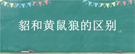 貂和黃鼠狼的區(qū)別 黃鼠狼與水貂的區(qū)別