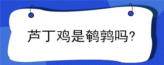 蘆丁雞是鵪鶉嗎? 鵪鶉與蘆丁雞