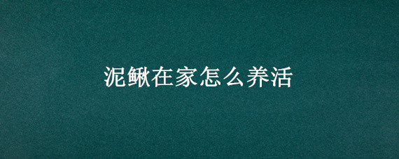 泥鳅在家怎么养活 泥鳅在家怎么养活吃什么的视频