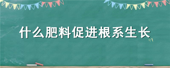 什么肥料促進(jìn)根系生長（什么肥能促進(jìn)根部生長）