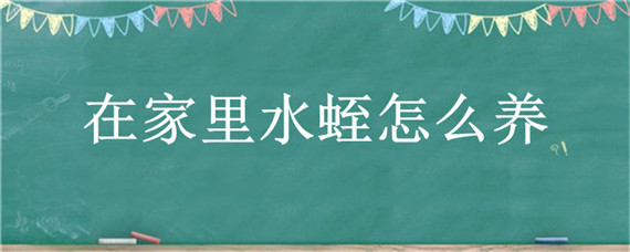 在家里水蛭怎么养 家里水蛭怎么办