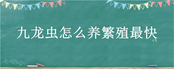 九龙虫怎么养繁殖最快（九龙虫繁殖快吗?）