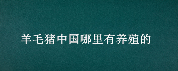 羊毛猪中国哪里有养殖的 中国哪里有羊毛猪卖