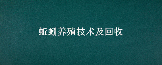 蚯蚓养殖技术及回收 蚯蚓养殖回收价格