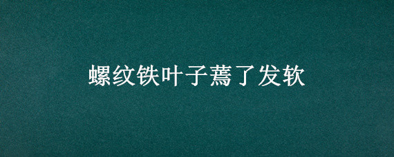 螺纹铁叶子蔫了发软 螺纹铁蔫了怎么办