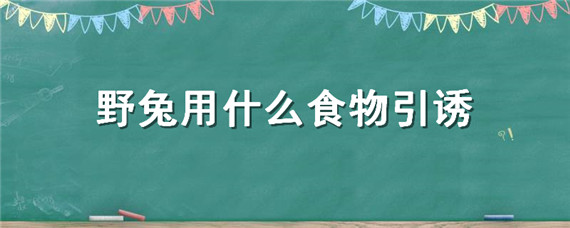 野兔用什么食物引誘（用什么可以引誘野兔）